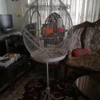 قفس با پایه