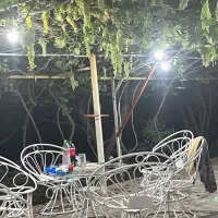 رسیدگی به باغ