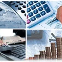 ارائه خدمات مالی و مالیاتی تخصصی