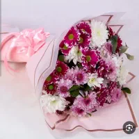 پخش عمده داوودی و رز هلندی و آلستر|گل و گیاه طبیعی|مشهد, نیروی هوایی|دیوار