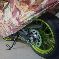 بنلی جفت ۳۰۰ درحد