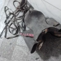 زین دهنه اسب