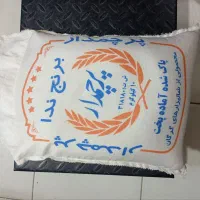 بهترین  شمال