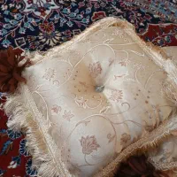 کوسن طلایی ریشه دار