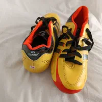 کفش فوتبالی|کیف، کفش، کمربند|دماوند, گیلاوند|دیوار