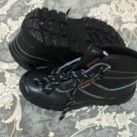 پوتین  ایمنی