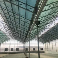 سوله برای تولید و بسته بندی صیفی‌جات و  قارچ