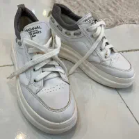 کتانی|کیف، کفش، کمربند|رشت, حومه رشت|دیوار