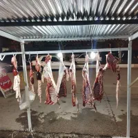 ورک امسال و شک خومانی