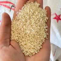 فروش برنج و نیمدانه و لاشه و ضایعات برنجی|خوردنی و آشامیدنی|گرگان, |دیوار