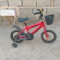 دوچرخه سوار ی سالم بدون خرج