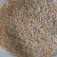 جوجه اردک اسرائیلی نزدیگ ۲۰روزه|حیوانات مزرعه|رشت, کوی امام رضا|دیوار