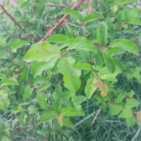 راهنمایی گردش تفریح