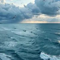 اجاره-روزانه-لوکس-با-ویو-مستقیم-دریا-جزیره-کیش