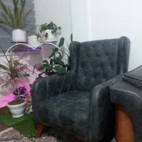 مبلمان‌ چستر  درحد نو|مبلمان خانگی و میز عسلی|همدان, |دیوار