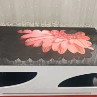 فرش 6 متری و میز وسط|فرش|شیراز, ریشمک|دیوار