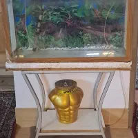 آکواریوم