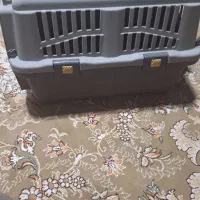 قفس و باکس سگ گربه|لوازم جانبی حیوانات|اصفهان, قهجاورستان|دیوار