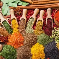 نیازمند نیروی خانوم