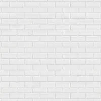 رنگ سفید/بدون کثیف کاری/چسبدار/فوم قابل شستشو|مصالح و تجهیزات ساختمان|رشت, کوی حسینی|دیوار