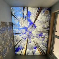 اجرا سقف کشسان اقتصادی