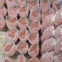 مغز بادام آستانه اشرفیه