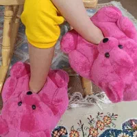 پاپوش خرس پاگنده