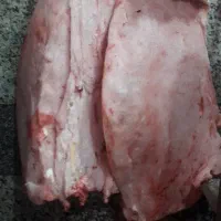 با سلام خسته نباشید کوهان شتر کردیم مثل دنبه