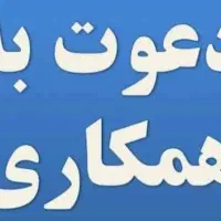 استخدام منشی