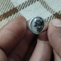 انگشتر شجر تک درخت قاعنات|جواهرات|همدان, |دیوار