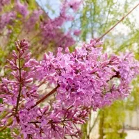 زمین900متری-در-بهتر-جای-منطقه