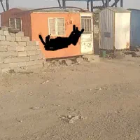 دستگاه بلوکه زنی و کانکس|ماشینآلات صنعتی|مشهد, میان ولایت|دیوار