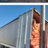 کاه گندم|عمده‌فروشی|نیک شهر, |دیوار