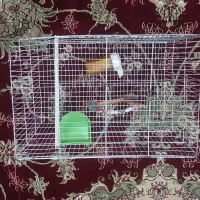 قفس با وسایل|لوازم جانبی حیوانات|پاکدشت, پاکدشت (مامازند)|دیوار