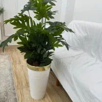 گل مصنوعی برگ انجیری