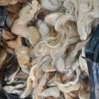 پشم گوسفند