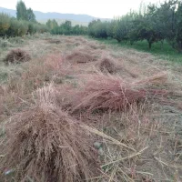 جارو|لوازم نظافت|نهاوند, |دیوار