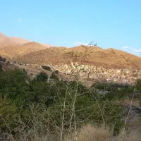 فروش فوری باغ