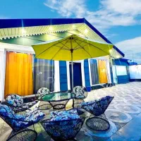 صندلی کافه ورستوران باغ ویلا شرکتی|صندلی و نیمکت|تهران, شادمان|دیوار