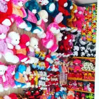 همکار خانم تولیدی عروسک