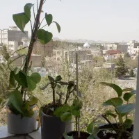 آپارتمان ۹۰ متری مفید