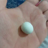 سنگ اسیاب
