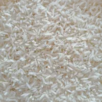 لاشه طارم ممتاز، درشت و معطر