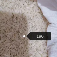 برنج طارم هاشمی اقساطی چکی