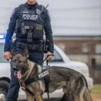 ژرمن ورک لاین سیبل و‌بلک اند تن