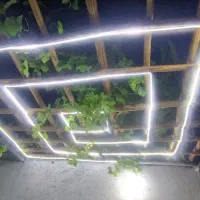 برقکار و برقکش و دوربین ساختمان