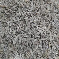 زیره|عمده‌فروشی|ملک‌آباد, |دیوار