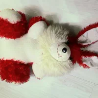 شلوارک لی دخترانه|لباس|مشهد, امام رضا (ع)|دیوار