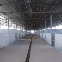 فروش مرغداری گوشتی|فروش دفتر صنعتی، کشاورزی، تجاری|گرمسار, |دیوار