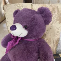 خرس نو|اسباببازی بچه|مشهد, سجاد شهر|دیوار